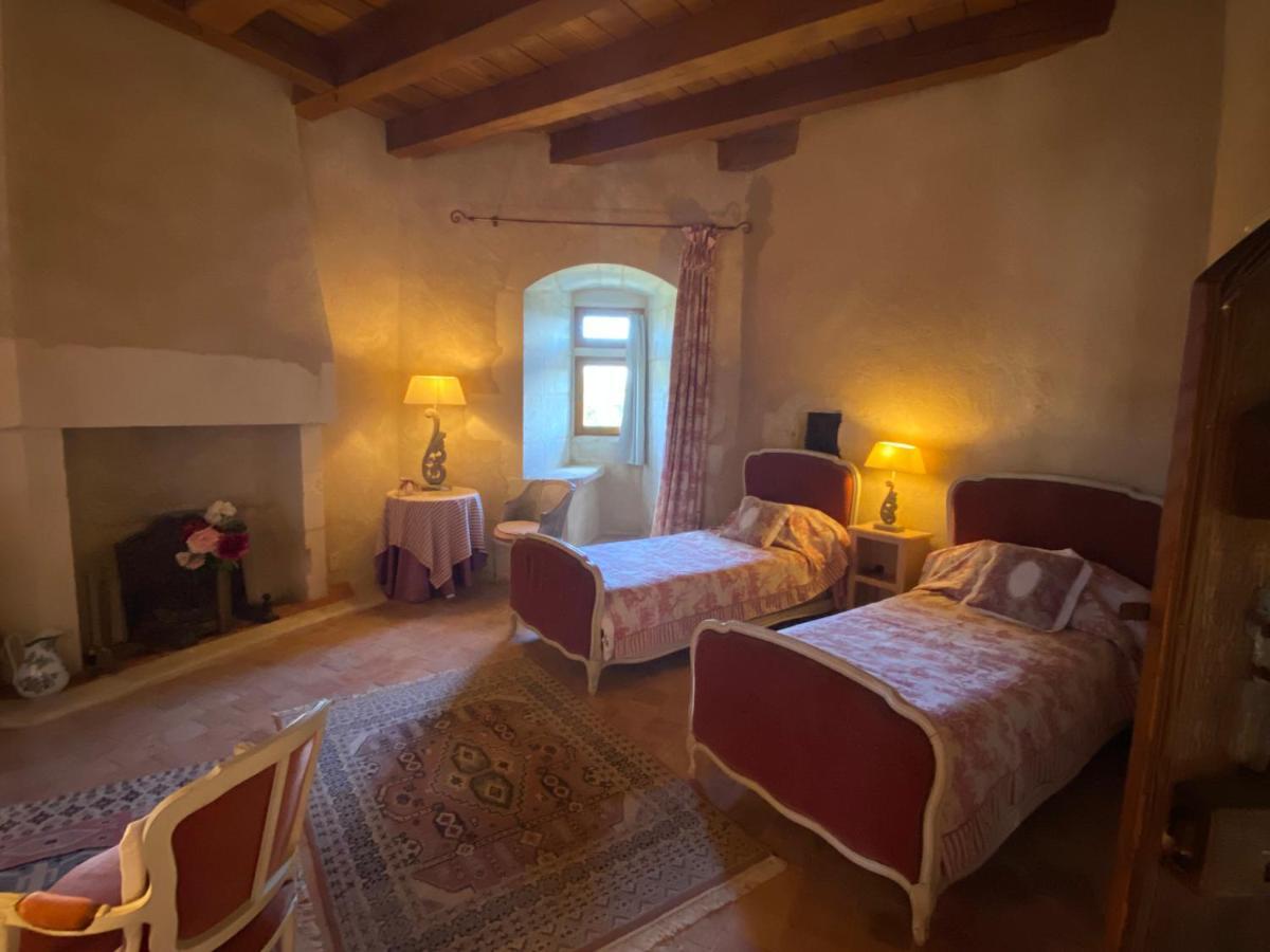 Ingrandes  Chateau D'Ingrandes מראה חיצוני תמונה