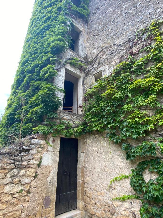Ingrandes  Chateau D'Ingrandes מראה חיצוני תמונה