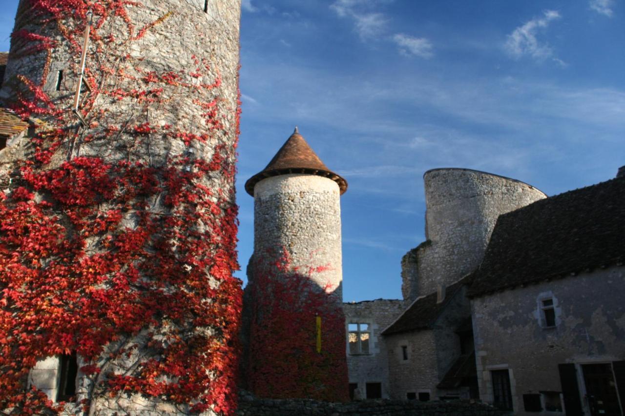 Ingrandes  Chateau D'Ingrandes מראה חיצוני תמונה