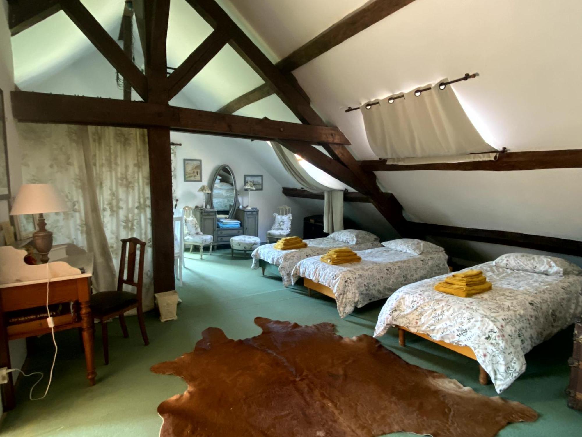 Ingrandes  Chateau D'Ingrandes חדר תמונה